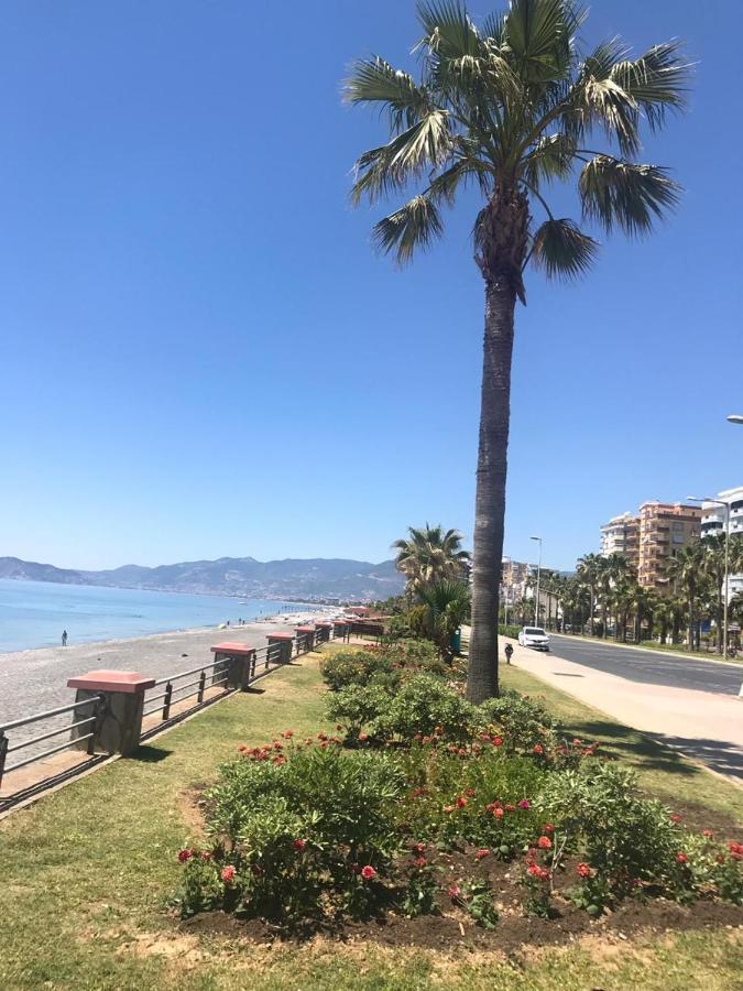 Empire Residence Alanya/Mahmutlar 50m от моря Dış mekan fotoğraf